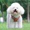 New Reflective Dog Harness for Small Dogs,Soft Suede Puppy Harness and Leash Set,Escape Proof Small Dog and Cat Harness,Step-in Dog Vest Harness for Extra Small,Medium Dogs,Breathable Dog Rope