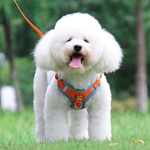 New Reflective Dog Harness for Small Dogs,Soft Suede Puppy Harness and Leash Set,Escape Proof Small Dog and Cat Harness,Step-in Dog Vest Harness for Extra Small,Medium Dogs,Breathable Dog Rope