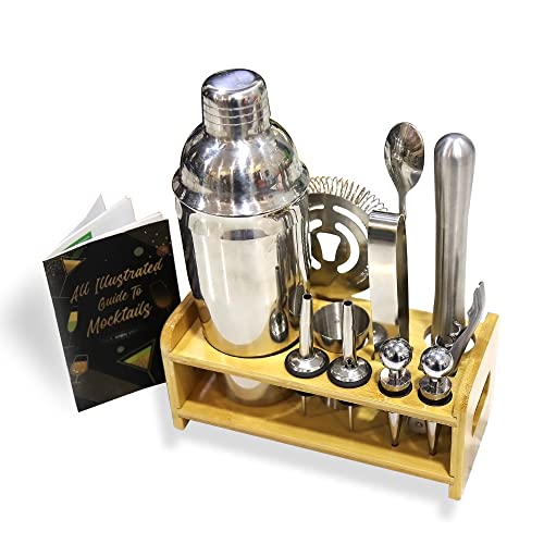 Glish Premium Stainless Steel Cocktail Shaker, 13-Piece Professional Bartender Kit with Stylish Display Stand, Bar Accessories for Bar Set Martini Shaker Set with Recipe Book, Perfect Home Drink