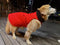 Dog Keep Warm Fleece Jacket,Windproof Snowsuit for Outdoor.Keep Warm Small &Medium &Large Dogs (Small)