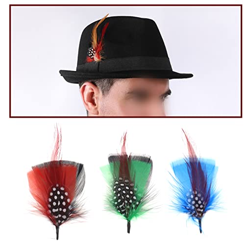 ECSiNG 12Pcs Hat Feathers Real Feather Decorative Feather Natural Feather DIY Accessories for DIY Making Crafts Clothing Decoration