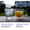 Youngever 2 Pack 250ML Glass Coffee Cups, Espresso Cups, Double Wall Thermo Insulated Coffee Cups, Glass Coffee Mugs