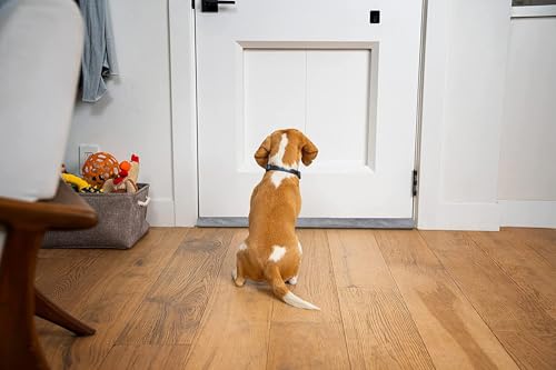 BKSAI Door Draft Stopper for Doors 31-39" No Adhesive Draft Stopper for Bottom of Door Draught Excluder Under Door Wind Blocker Reduce Noise Draught Excluder Sweep Sound Proof(Grey)