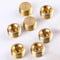 10 PCS 1/4" NPT Male Pipe Plug Fitting Set Brass Hex Counter Sunk Pipe Plug for Closing the End of Pipe, Internal Hex Socket Thread Socket Pipe Plug Kit