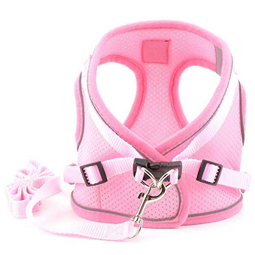 ZUNEA Small Dog Harness and Lead Set No Pull Puppy Vest Harnesses Adjustable Reflective Soft Mesh Step-in Pet Cat Harness Escape Proof for Walking, Bright Colors for Dogs Girl Boy Pink XS