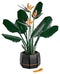 Lego Botanical Collection Bird of Paradise 10289
