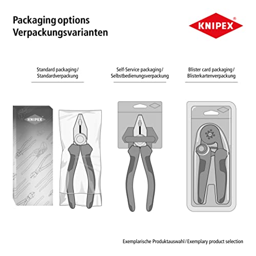 KNIPEX Universal Control Cabinet Key