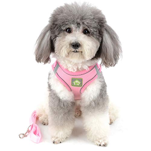 ZUNEA Small Dog Harness and Lead Set No Pull Puppy Vest Harnesses Adjustable Reflective Soft Mesh Step-in Pet Cat Harness Escape Proof for Walking, Bright Colors for Dogs Girl Boy Pink XS