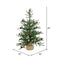 Vickerman 24" Caramel Pine Artificial Christmas Tree Unlit- Featuring 480 PVC Tips - Pine Cone Accented - Seasonal Indoor Home Decor with Decorative Burlap Base