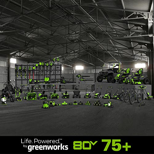 Greenworks 80V (180 MPH / 610 CFM / 75+ Compatible Tools) Cordless Brushless Backpack Blower, 2.5Ah Battery and Rapid Charger Included, Green/Black