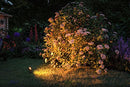 Paulmann 93689 Plug & Shine Sting LED Outdoor Light Including 3 x 6 Watt Dimmable Garden Spike Anthracite Garden Light Aluminium Outdoor 3000 K