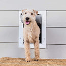 PetSafe Never Rust Wall Entry Pet Door - Telescoping Frame - Insulates Better Than Metal Doors, Energy Efficient Cat & Dog Door - Interior & Exterior Walls, Weatherproof, Easy to Install & Clean - M