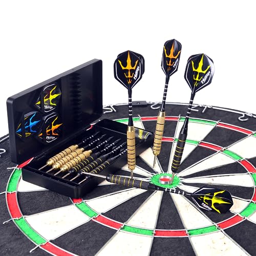 Steel Tip Darts Set 20g -12 Aluminum Shafts with O’Rings, Professional Darts with 12 Standard Flights+6 Slim Flights+Dart Tool+Sharpener, Dart Set for Home, Party