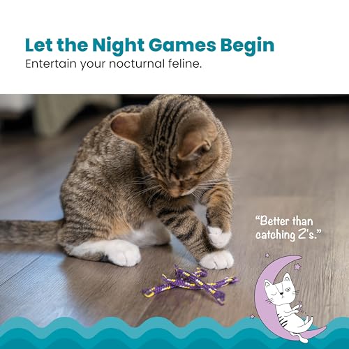 Petstages Nighttime Catnip Rolls Cat Toys - 3 Pack