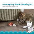 Petstages Pretzel Dental Health Catnip Toy Fetch Catnip Toys