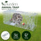 Noveden Animal Trap Catch Possum Rabbit Cat Rat, Anti Rust, Large Humane Animal Cage Trap with Foldable Design, Silver (66 x 26 x 23cm)