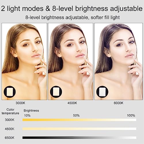 Selfie Light Clip-on LED Lights Rechargeable Portable Mini Selfie Light with Front & Back Phone Clip No More Bulky Selfie Ringlight Portable Clip on Light for Live Stream Makeup and YouTube