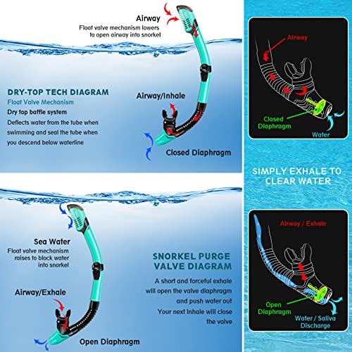 ZEEPORTE Mask Fin Snorkel Set with Adult Snorkeling Gear, Panoramic View Diving Mask, Trek Fin, Dry Top Snorkel +Travel Bags, Diving Package for Lap Swimming