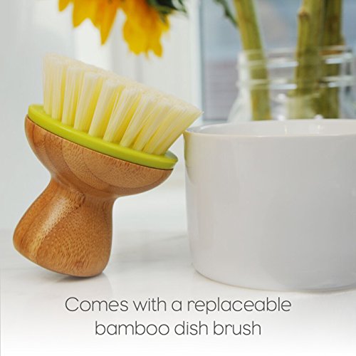 Full Circle Bubble Up Dish Brush, White (Pack of 6), Green, Pack of 6 - Brushes
