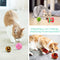 LONENESSL 33pcs Cat Toys Set Kitten Toys Catnip Fish Toy Set Interactive Feather Toy Cat Teaser Wand Fish Mice Balls Fluffy Mouse Bell Toys for Cats