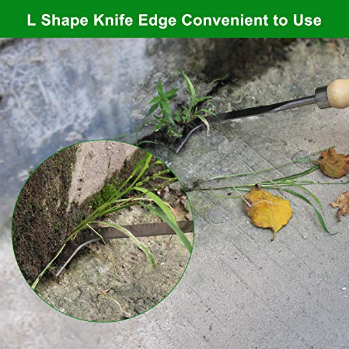 Zhaoyao Weed Puller Tool, Garden Crack Hand Weed Remover, Stainless Steel Crevice Weeding Tool Lawn Yard Gardening Tool with Wood Handle for Sidewalk and Patio 2 Pack