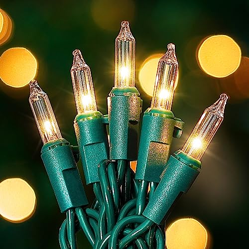 HEYFUNi Clear Christmas Lights 50 Count 13Feet Mini Clear Lights Set, Incandescent Bulb Mini String Lights for Indoor Outdoor Christmas Tree Party Weeding Home Xmas Holiday Decorations,Green Wire