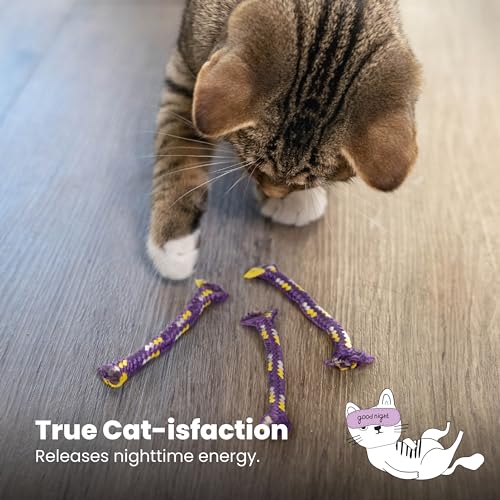 Petstages Nighttime Catnip Rolls Cat Toys - 3 Pack