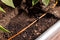 Rain Bird GARDENKIT Drip Irrigation Raised Bed Garden Watering Kit