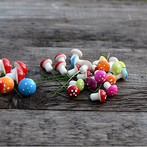 Sungpunet 60 Pcs Miniature Fairy Garden Colorful Mushroom