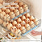 ZHAIXIAONIAN Egg Holder for Refrigerator, 60 Egg Drawer Organizer with Time Scale, Stackable Egg Holder Egg Trays, Clear Egg Fresh Storage Box for Friage, Large Capacity Egg Container Organizer Bins