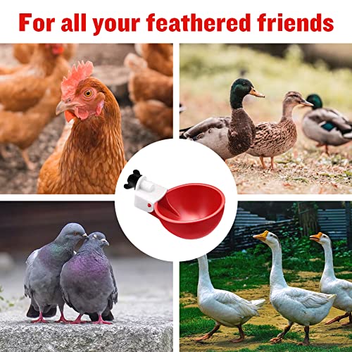 Automatic Chicken Waterer Cups DIY Chicken Waterer Poultry Water Feeder Kit for Chickens, Turkeys, Ducks and More (6 Pack)