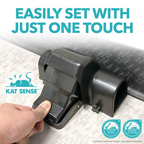 Kat Sense Tunnel Trap(2pack)