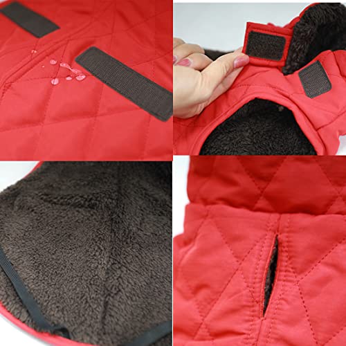 Dog Keep Warm Fleece Jacket,Windproof Snowsuit for Outdoor.Keep Warm Small &Medium &Large Dogs (Small)