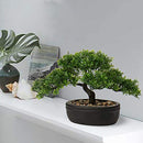 U/S Bonsai Tree, Fake Plants Ceramic Potted Tree Artificial Japanese Cedar Bonsai Tree Decoration for Home Desk Office Bathroom Kitchen Farmhouse Indoor/Outdoor (Bonsai Tree
