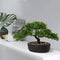 U/S Bonsai Tree, Fake Plants Ceramic Potted Tree Artificial Japanese Cedar Bonsai Tree Decoration for Home Desk Office Bathroom Kitchen Farmhouse Indoor/Outdoor (Bonsai Tree #04)