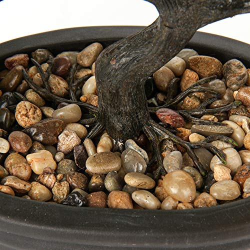 U/S Bonsai Tree, Fake Plants Ceramic Potted Tree Artificial Japanese Cedar Bonsai Tree Decoration for Home Desk Office Bathroom Kitchen Farmhouse Indoor/Outdoor (Bonsai Tree