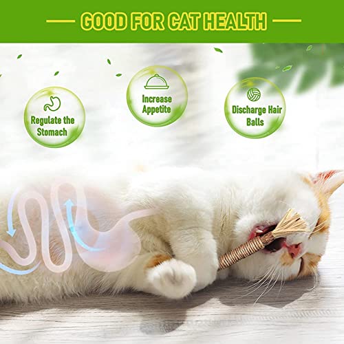 Catnip Sticks Toys,Catmint Silvervine Blend Sticks - Silvervine Sticks Cat Dental Toy Interactive Adult Cat Toys for Indoor Cat