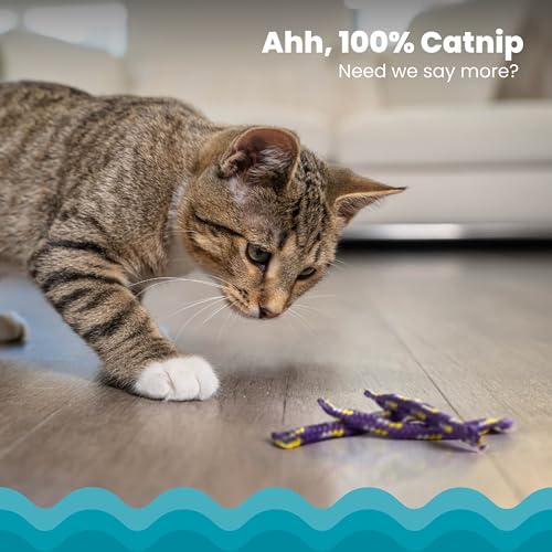 Petstages Nighttime Catnip Rolls Cat Toys - 3 Pack