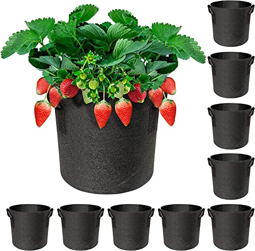 10-Pack Plant Grow Bags, Aeration Fabric Pots, Non-Woven Polypropylene Felt Fabric Flower Pots and Planters with Handles for Vegetables, Flowers, Nursery (10-Pack 3 Gallon)