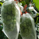 30PCS 35 * 15CM Fruit Net Bags Agriculture Garden Vegetable Protection Mesh Insect Proof