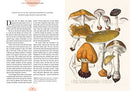 Kew - The Magic of Mushrooms: Fungi in folklore, superstition and traditional medicine