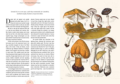 Kew - The Magic of Mushrooms: Fungi in folklore, superstition and traditional medicine