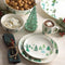 Lenox 893565 Balsam Lane 12-Piece Dinnerware Set, Green