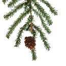 Vickerman 24" Caramel Pine Artificial Christmas Tree Unlit- Featuring 480 PVC Tips - Pine Cone Accented - Seasonal Indoor Home Decor with Decorative Burlap Base