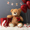 HollyHOME Teddy Bear Plush Giant Teddy Bears Stuffed Animals Teddy Bear Love 36 inch