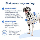 PetSafe Easy Walk No-Pull Dog Harness - The Ultimate Harness to Help Stop Pulling - Take Control & Teach Better Leash Manners - Helps Prevent Pets Pulling on Walks - Medium, Fawn/Brown