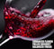 Wine Aerator Pourer, Premium Aerating Pourer and Decanter Spout