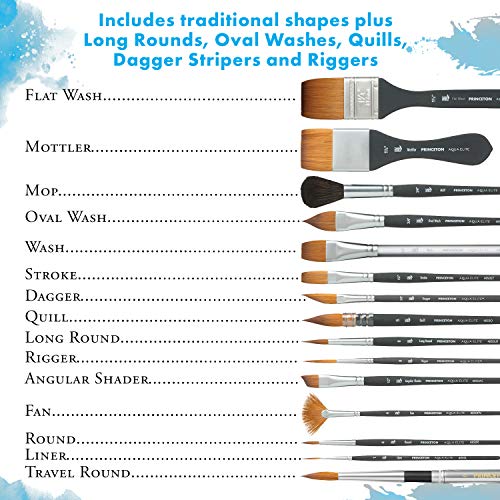 Princeton Aqua Elite NextGen Artist Travel Brush Set, Series 4850 Synthetic Kolinsky Sable for Watercolor, Includes Four Round Brushes Sizes 4, 8, 6 and 10