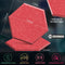 ZHERMAO 12 Pack Hexagon Acoustic Panels Beveled Edge Sound Proof Foam Panels, 14"X13"X 0.4" High Density Sound Proofing Padding for Wall, Acoustic Treatment for Studio, Home and Office (Grey Red)