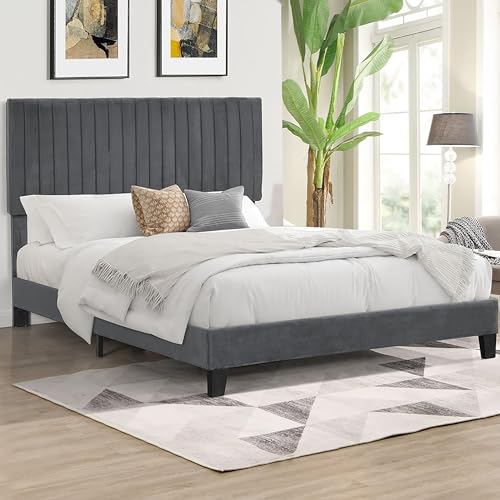 LEVEDE Queen Bed Frame Platform, Wooden Bed Base with Adjustable Headboard, Upholstered Velvet Mattress Support, Modern Classic Bedroom Furniture, Easy to Assemble (Grey)